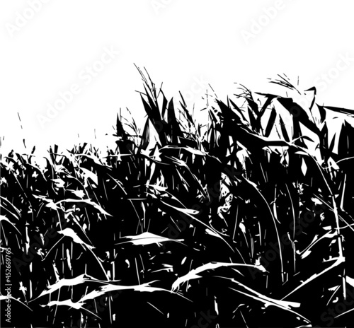Fototapeta Naklejka Na Ścianę i Meble -  Corn field. Silhouettes of nature. Vector illustration