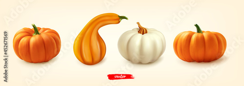 Pumpkin set, great design for any purposes. Different pumpkins isolated. 3d realistic vector illustration of pumpkin collection.