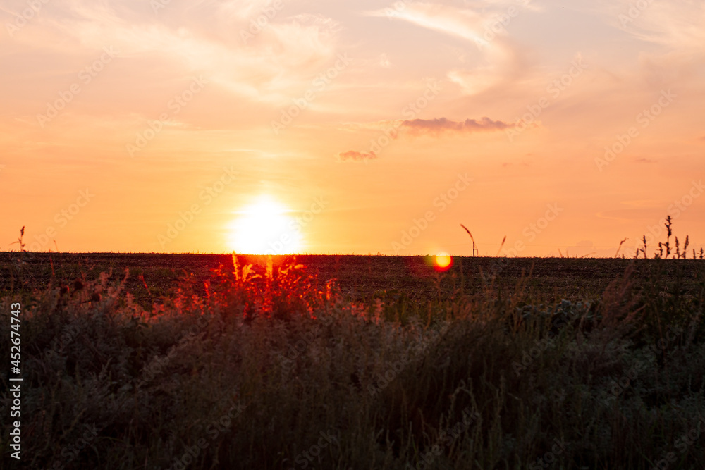 Sunset over countryside field with wild grass and bushes. Evening rural scene. Colorful red orange sun light on horizon. Sunset over countryside field with wild grass and bushes. Evening rural scene. Colorful red orange sun light on horizon.