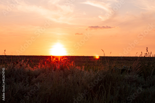 Sunset over countryside field with wild grass and bushes. Evening rural scene. Colorful red orange sun light on horizon.