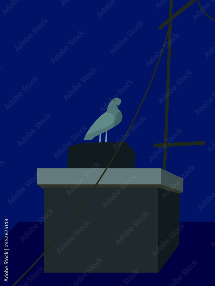 Bird on the roof of the building at the night Bird on the roof of the building at the night