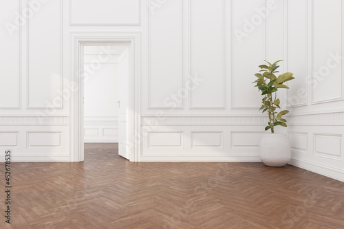 3d rendering of the open white door and vase of plant in empty classic room.