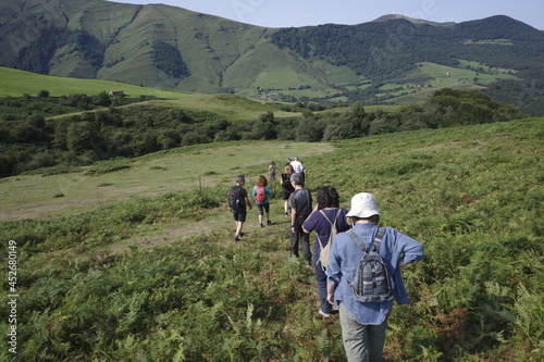 Hiking in a summer day