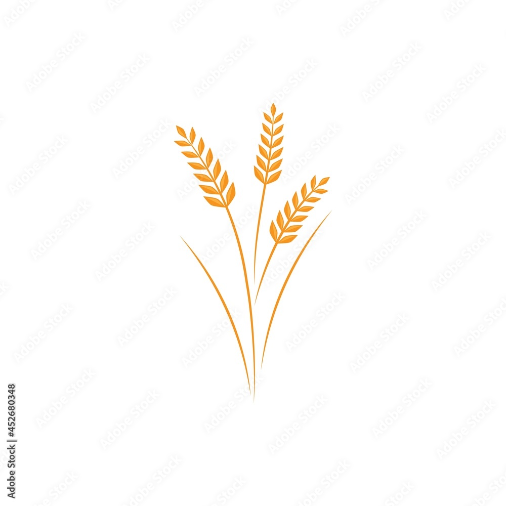 Wheat illustration design Wheat illustration design