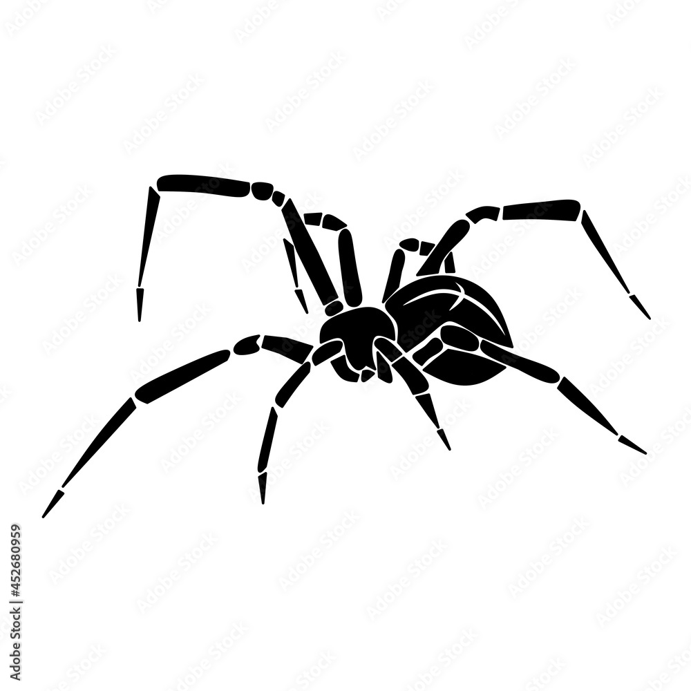 Obraz premium Spider black, cartoon isolated on white background, vector illustration for design and decor, Halloween, sticker, template