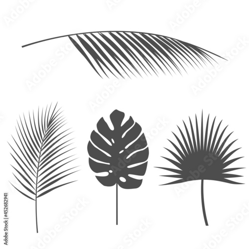 Tropical leaves,tropical palms,vector set of silhouettes