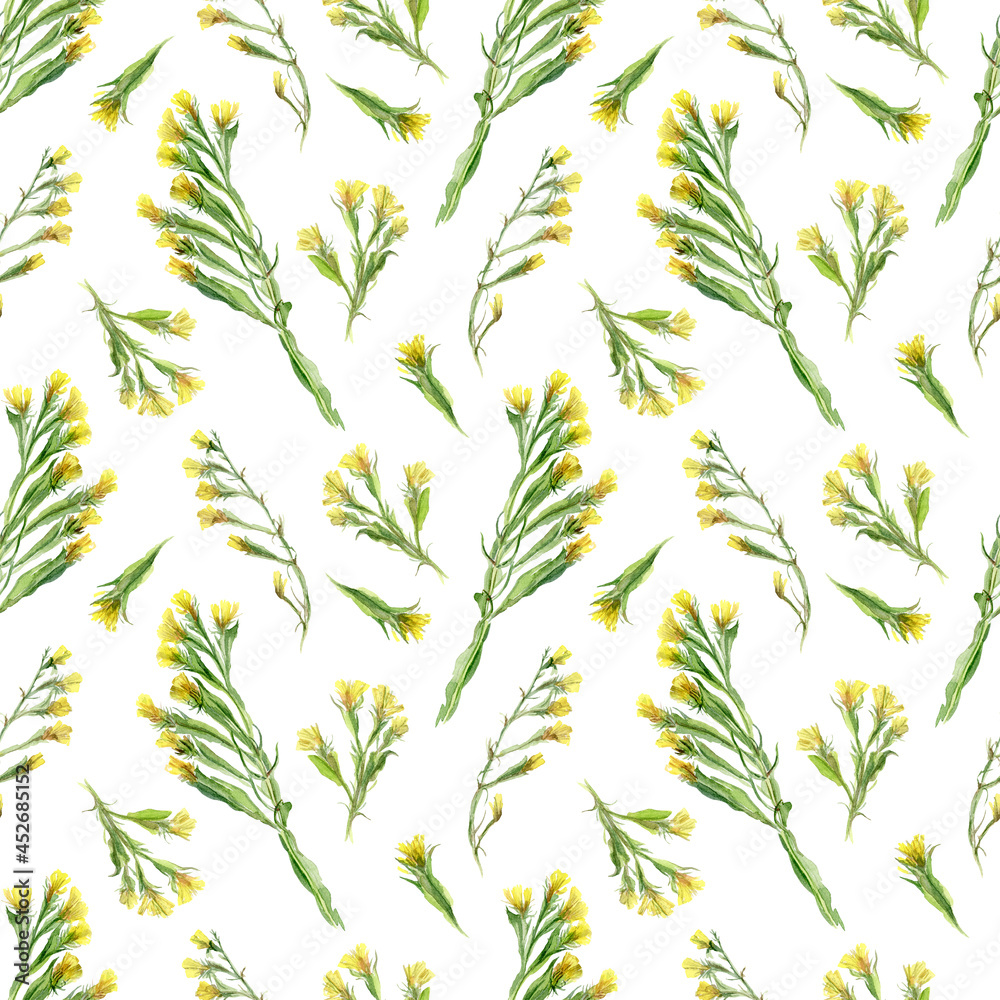 Botanical seamless pattern with wild herbs on a white background