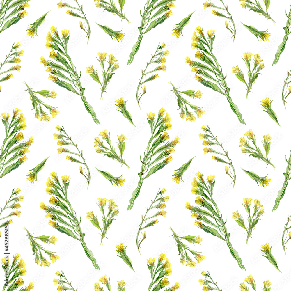 Botanical seamless pattern with wild herbs on a white background Botanical seamless pattern with wild herbs on a white background
