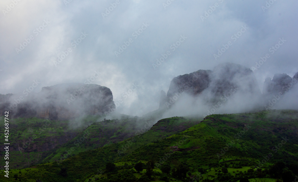 Beautiful Lush Green Nature