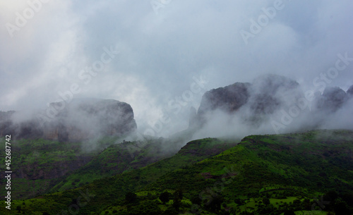 Beautiful Lush Green Nature