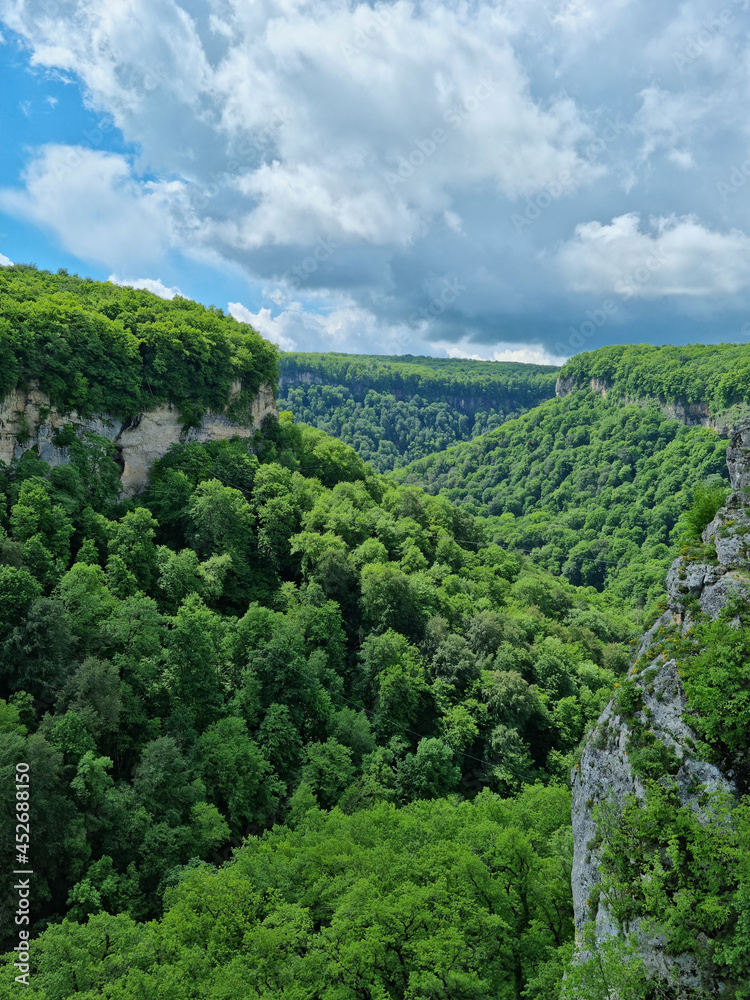 mountains covered with green trees. trips to the mountains in the spring.