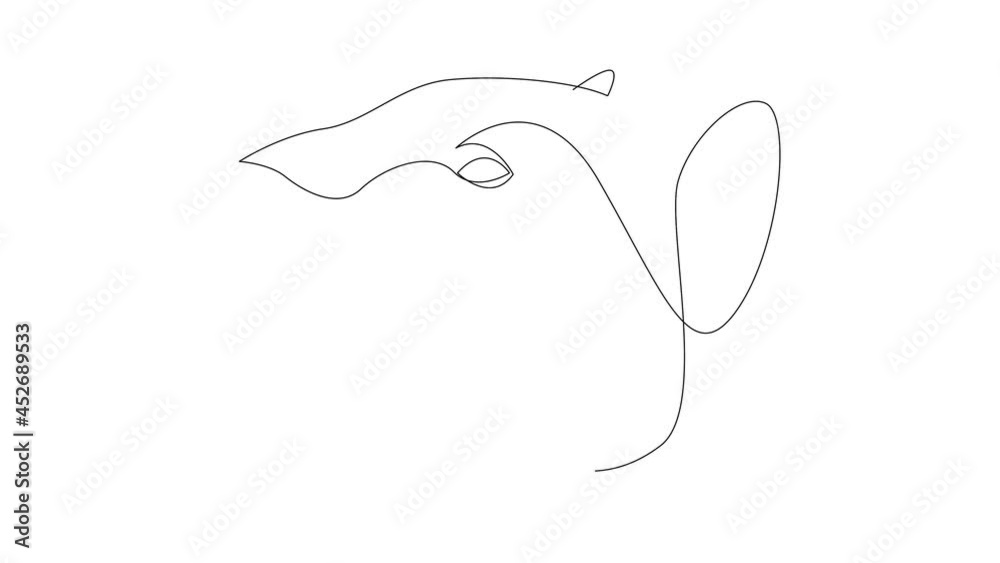 Self drawing simple animation of single continuous one line drawing jaguar, panther, lioness. Drawing by hand, black lines on a white background. Self drawing simple animation of single continuous one line drawing jaguar, panther, lioness. Drawing by hand, black lines on a white background.