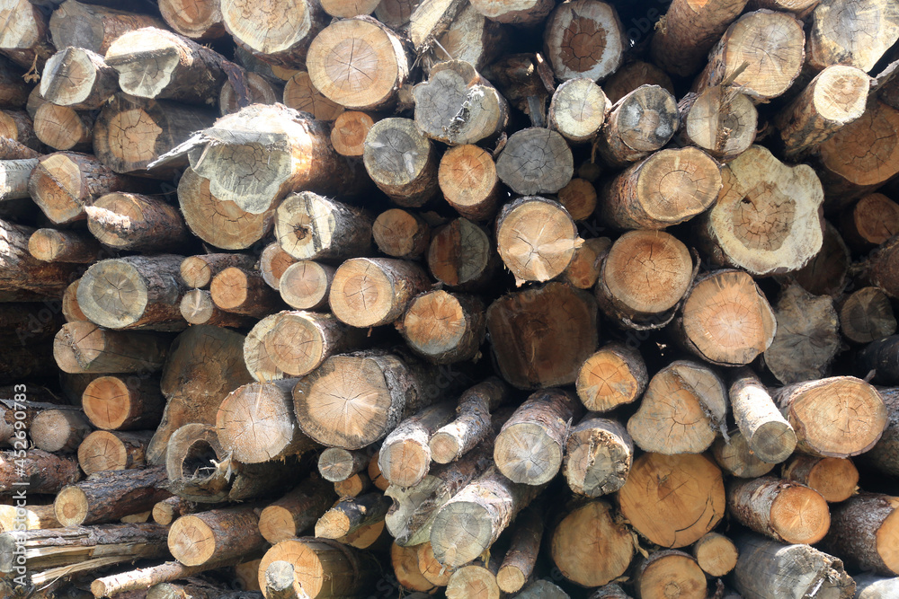 wood wood