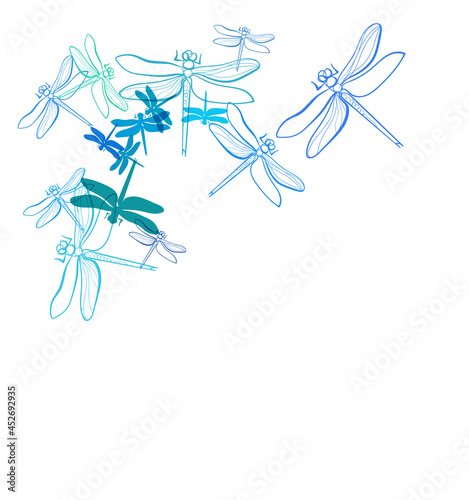 blue dragonfly insect vector line bright colorful card background