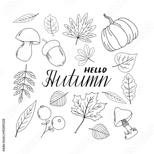 Autumn set of leaves, pumpkin, berries and mushrooms. Floral autumn collection in hand drawn sketch style. Vector illustration with lettering