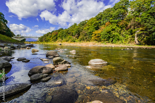 Canvastavla 静かに流れる栃木県那珂川の風景、快晴の那珂川、アユ釣りの名所