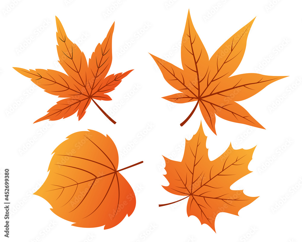Naklejka premium Set of autumn leaves