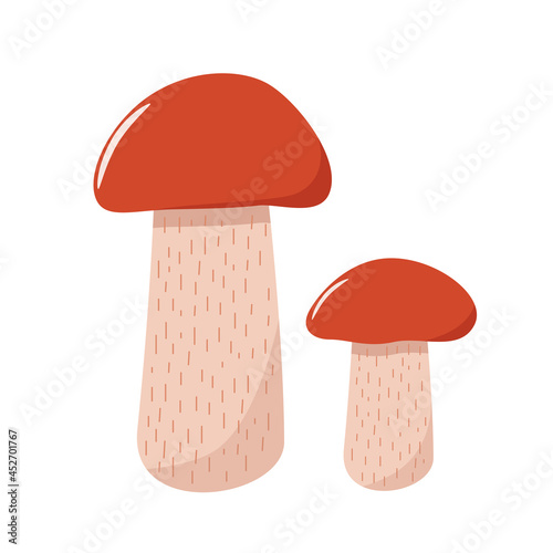 Two colored mushrooms of autumn aspen mushroom icons vector. Illustration isolated on white.