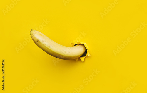 A large banana curved upward through a torn hole in yellow paper. The concept of tropical fruits, vegetarianism. Bright background with copy space.