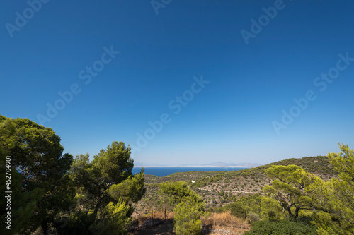 plants and panorama from Aphaia temple in Egina island in Greece
