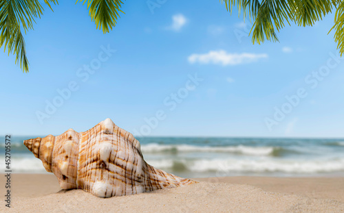 Seashell like a trumpet on the seashore with sea waves, blue sky, and palm tree leaves.