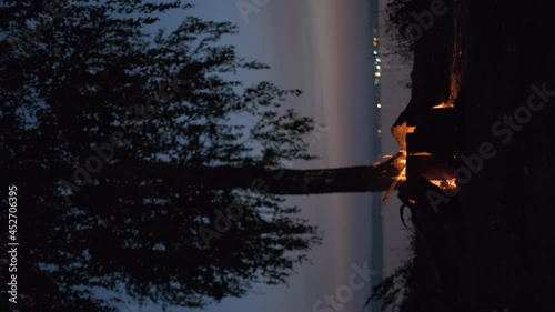 A bonfire burning in a forest on the shore of a lake at midnight. photo