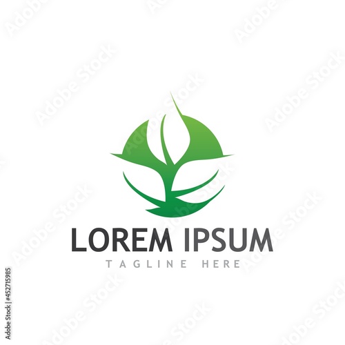 leaf logo and vector images