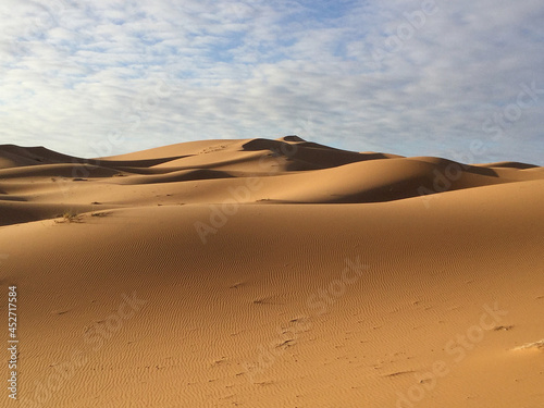 Sahara Desert  Merzouga  Morocco