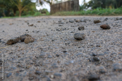 Indian deep village road , destroyed road 