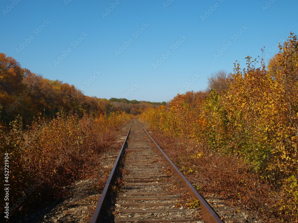 Fototapeta premium railway in autumn