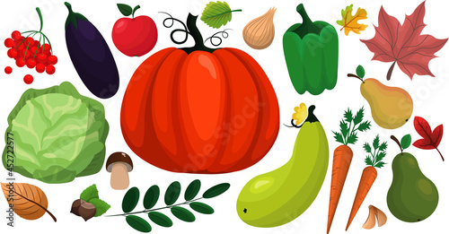 Fresh garden produce and harvested fruits/vegetables. A set of autumn elements: leaves, fruits and vegetables. Vector isolated illustration