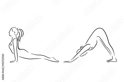 Stylized human in yoga dog pose, urdhva mukha svanasana and adho mukha svanasana . Handdrawn Vector illustration of lineart style. Yoga pose flat line icon, simple sign of woman in easy pose