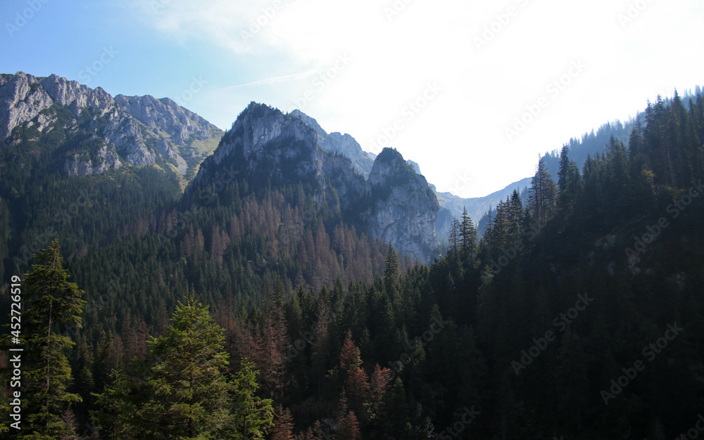 mountains landscape