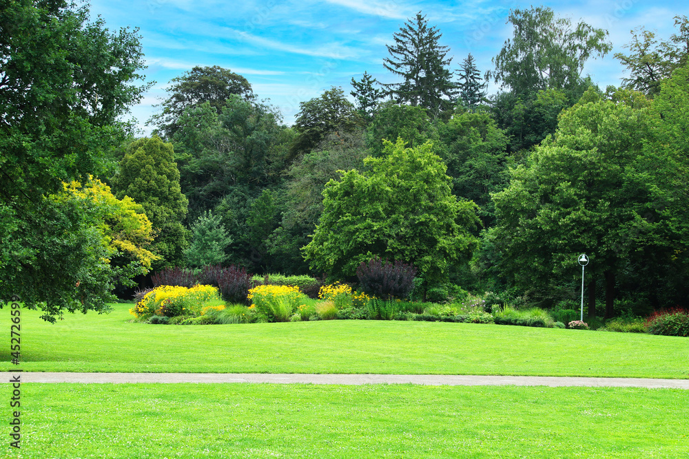 Fototapeta premium trees in the garden