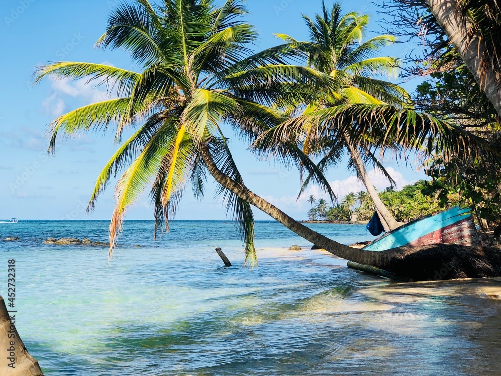 Fototapeta premium boat on the beach