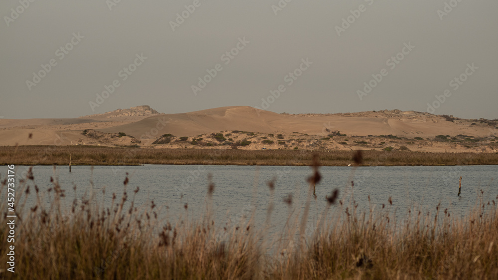 background of dunes with river in front