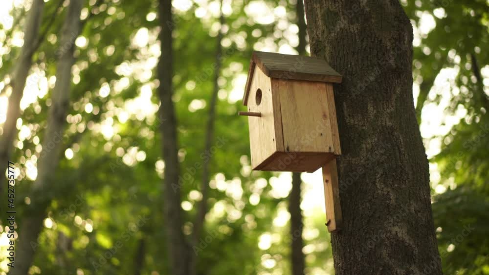 Handheld Effect Birdhouse On Tree Summer Sunny Day Handmade Bird House Handheld Effect Birdhouse On Tree Summer Sunny Day Handmade Bird House