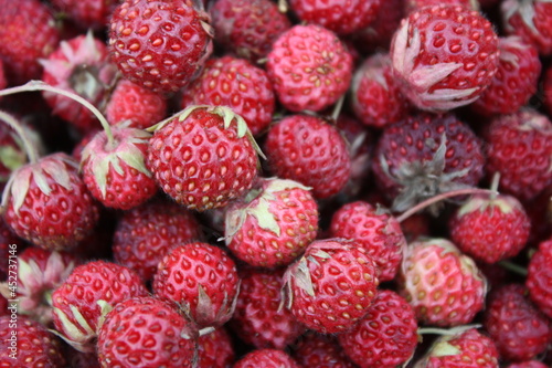 close up of berries