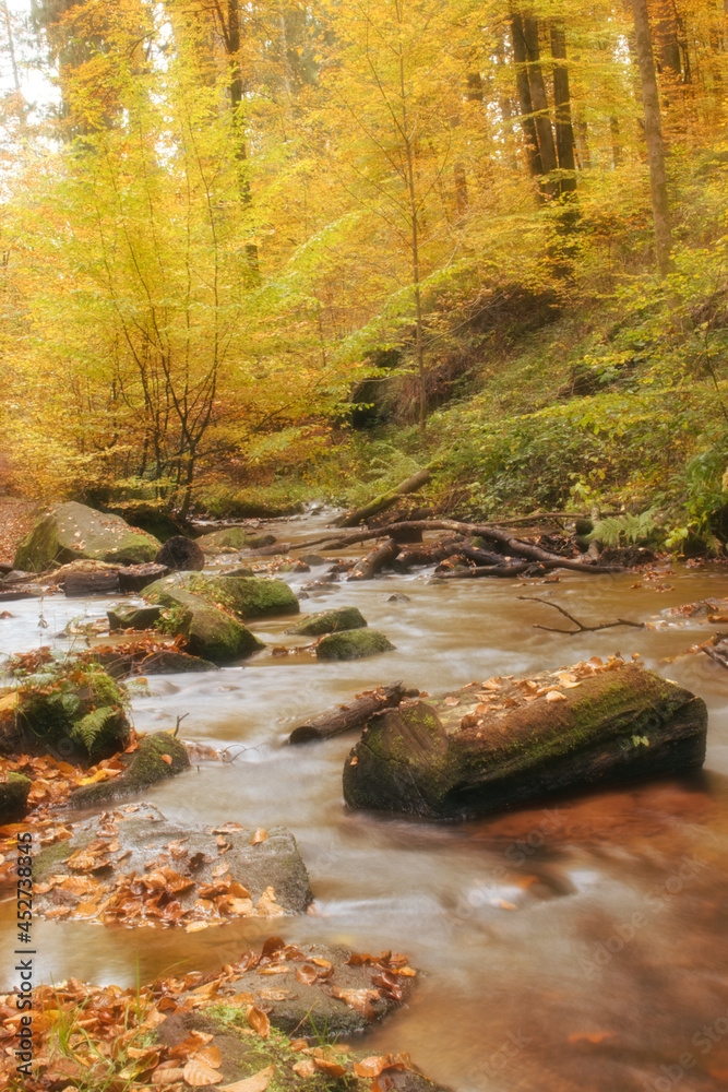 Stream with rocks, logs, and fallen leaves at Karlstal Gorge in Germany on a fall day.