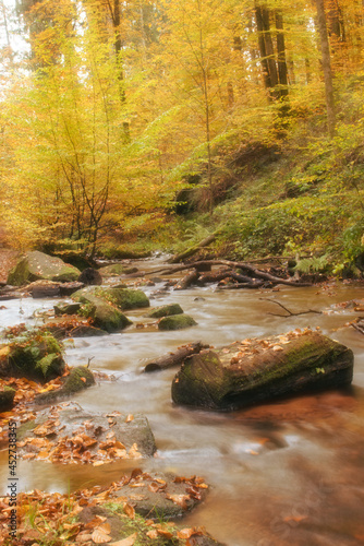 Stream with rocks  logs  and fallen leaves at Karlstal Gorge in Germany on a fall day.