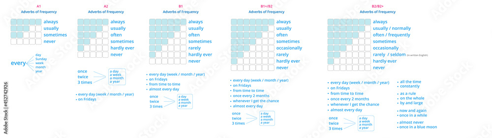 lingholic.com on X: A useful chart showing adverbs of frequency