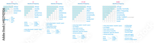 Adverbs of frequency with Present Simple. Vector English infographic of adverbs of frequency at different levels. photo