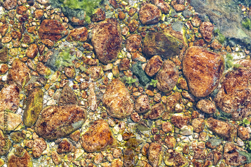 colorful stones and underwater moss at the bottom of the river,natural colors,view directly above,full frame image