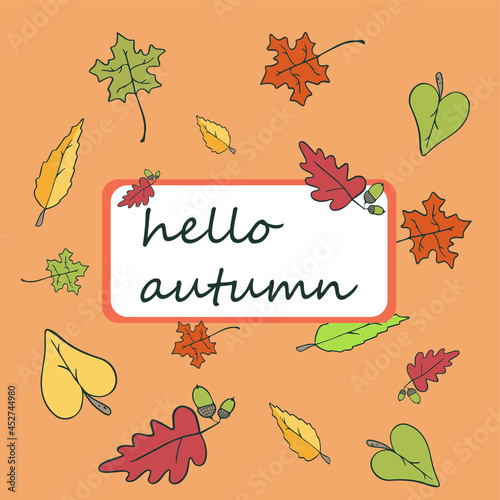 Autumn elements leaves. Banner hello autumn. Colorful leafs different trees - oak, maple, aspen. Hand draw vector illustration