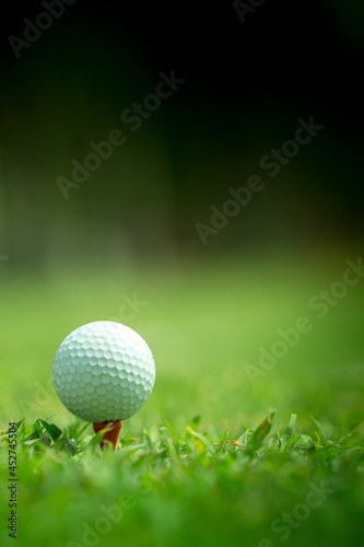 golf ball on tee,