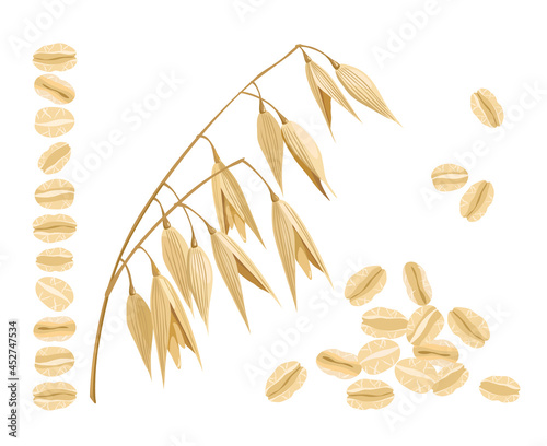 Oats, cereals and oat flakes isolated on a white background. Vector illustration of agricultural crops and organic food.
Suitable for packaging proper food, print,  cards and other design projects.