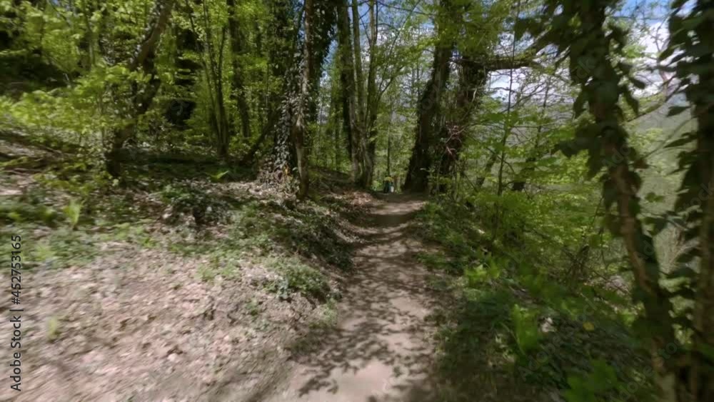Fpv drone extreme flying along forest downhill track among green dense trees under bright sunlight in bikepark. Chase to mtb sportsmen Fpv drone extreme flying along forest downhill track among green dense trees under bright sunlight in bikepark. Chase to mtb sportsmen