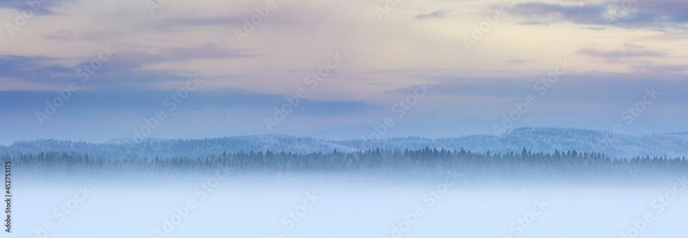 Misty winter panorama landscape with frost covered forest trees