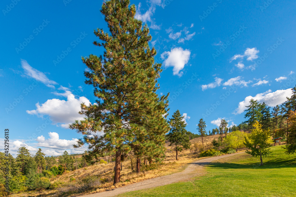 Trail in park at summer day in Vancouver, Canada, North America. Day time on May 2021. Trail in park at summer day in Vancouver, Canada, North America. Day time on May 2021.