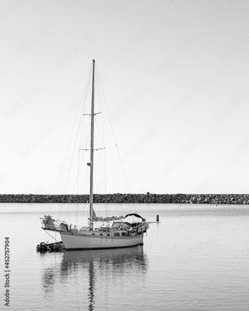 boats in the harbor